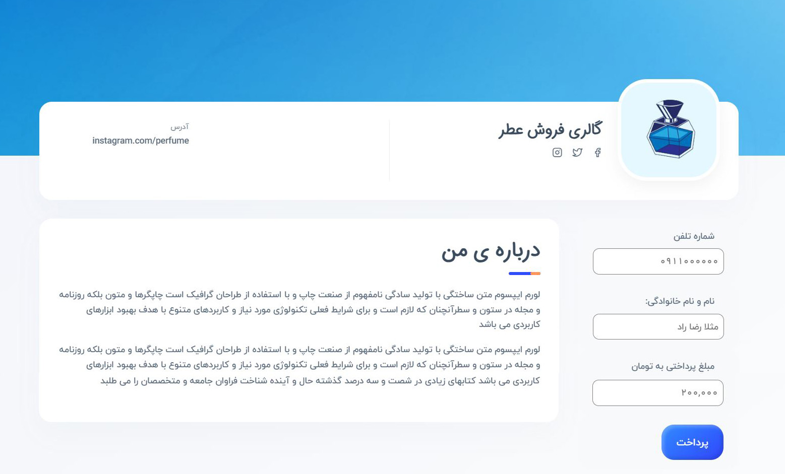 نمونه صفحه پرداخت شخصی در dotp.ir